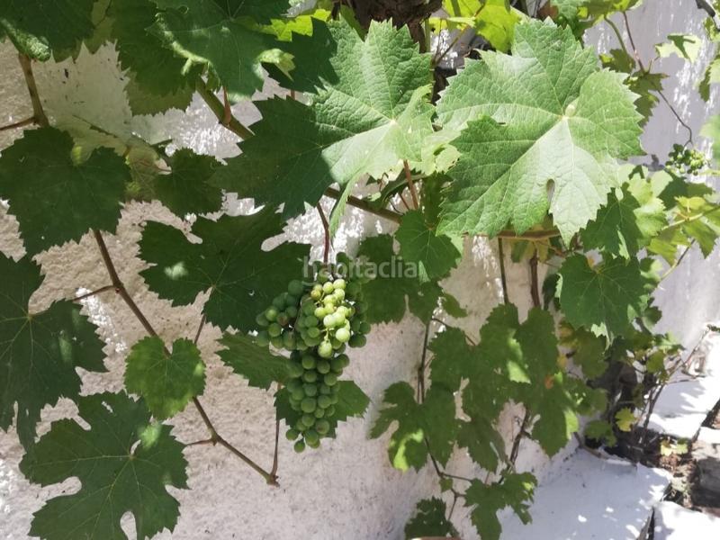 Foto 9a057208-104d-42ec-8fe8-0d3e31c75dac. Casa aparellada a calle huesca 18 a Gurrea de Gállego