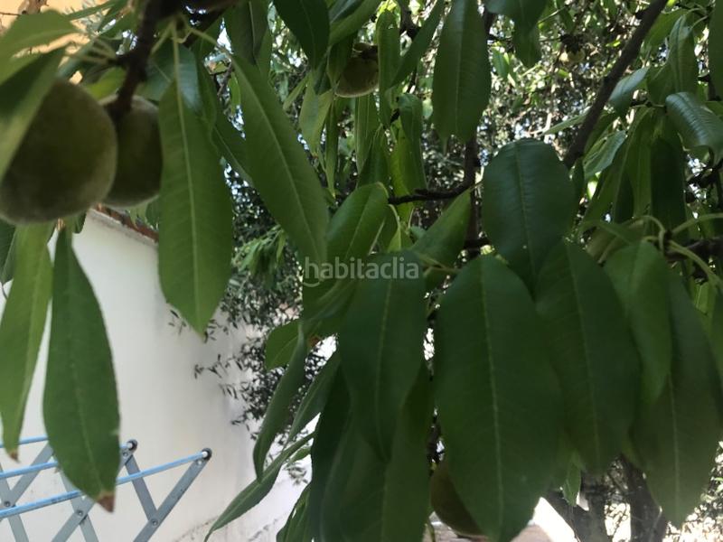 Foto d964439b-b7b2-4ff9-a775-58b77747417b. Casa aparellada a calle huesca 18 a Gurrea de Gállego