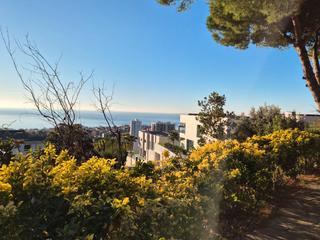 Terreny residencial a Tarragona 57. - 3 parcelas para construir 4 casas independientes