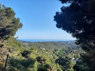 Lloguer Loft a C. romani  1. Tiny house vista mar con jardin rodeada de naturaleza