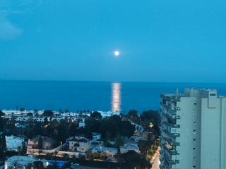 Rent Flat in Plaza géminis 1. Apartamento con fantásticas vistas al mar