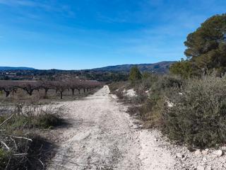 Finca rústica a Plaça numero 7 499. Finca rústica " la casa dels xops"