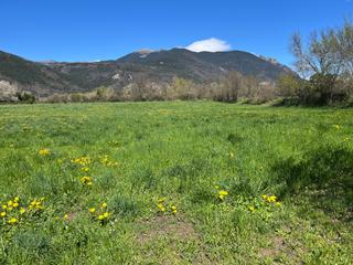 Lloguer Finca rústica a Camino santa bárbara 2. Alquiler de terreno en oros alto (biescas)
