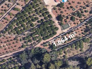 Finca rústica a Partida sentenilla 7. Junto a la nueva ciudad deportiva camilo cano. ideal para proyec