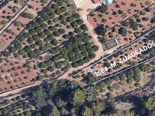 Finca rústica a Partida sentenilla 7. Junto a la nueva ciudad deportiva camilo cano. ideal para proyec