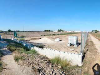 Finca rústica en Carretera san fulgencio, guardamar  0. Terreno en venta