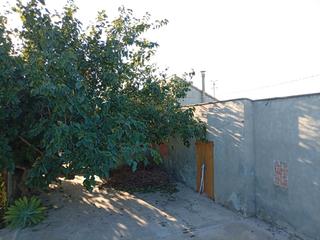 Masía en Av/ de la pau 70. Oportunidad única en deltebre – finca con múltiples edificacione