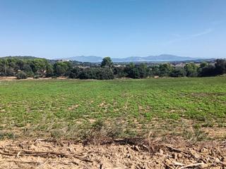 Finca rústica en Nou 5. Terreno rustico en la tallada d' empordà