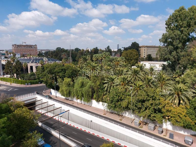 Foto 297a785d-6047-4702-9285-0c5d8c8b974b. Pis a avenida manuel siurot 3a a Bami - La Estrella Sevilla