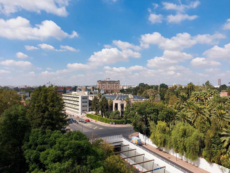 Foto 7240018b-3029-4d68-9704-da7ece5c90e6. Pis a avenida manuel siurot 3a a Bami - La Estrella Sevilla