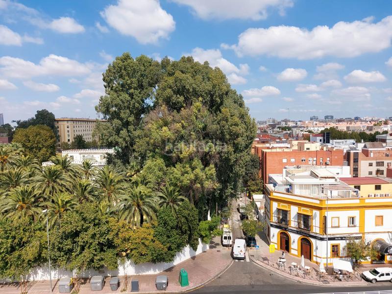 Foto 841504b3-433b-4969-a0b4-187257945f2e. Pis a avenida manuel siurot 3a a Bami - La Estrella Sevilla