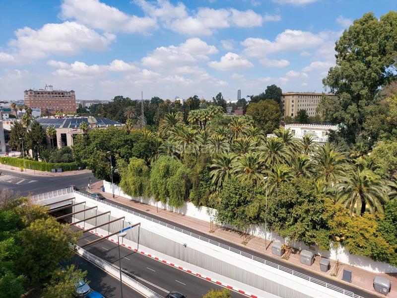 Foto cf4da27e-7434-43f2-aef3-10a948c316bb. Pis a avenida manuel siurot 3a a Bami - La Estrella Sevilla