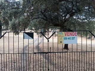 Finca rústica a Ex-103 1. Oportunidad terreno rustico
