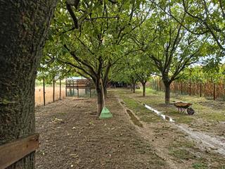 Landgut in Afueras 75