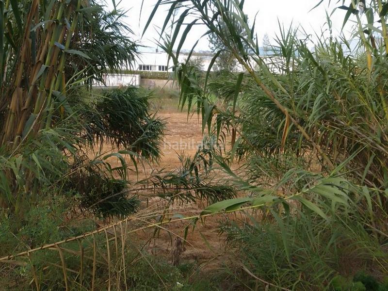 Foto 27c5c3c6-16f9-43e2-af80-52f4331589dd. Alquiler solar industrial en segadors 4 lloguer o venda de terreny industrial en Riudarenes