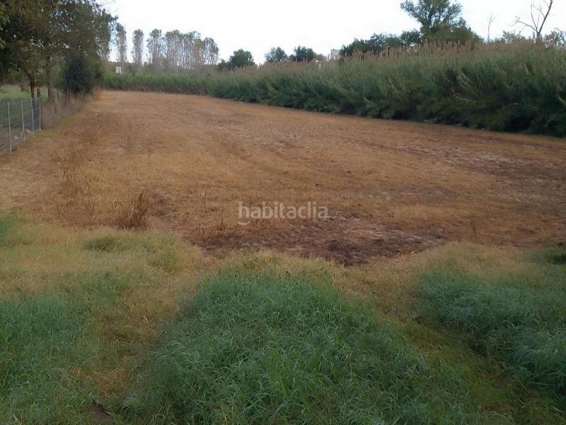 Foto 2a9dadf5-e684-4a99-8349-ae354e45f7a2. Alquiler solar industrial en segadors 4 lloguer o venda de terreny industrial en Riudarenes