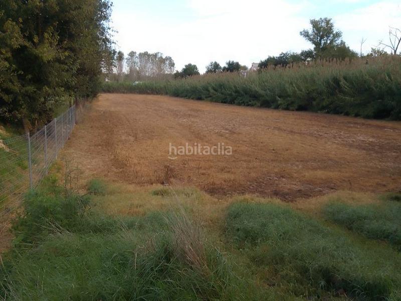 Foto f5b0431e-9f99-4905-b232-bfdc07e2c9f3. Alquiler solar industrial en segadors 4 lloguer o venda de terreny industrial en Riudarenes