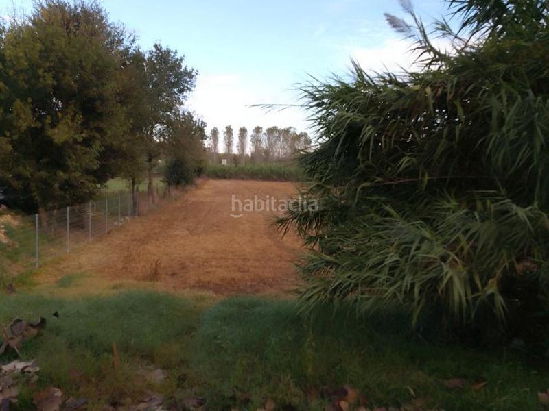 Foto 1490db3f-5b3f-4596-bfd3-2df51cc82ad9. Miete gewerbliches grundstück in segadors 4 in Riudarenes