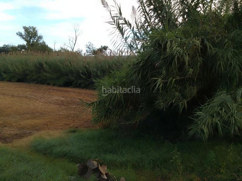 Foto 9e15c3f4-c234-4544-b4c1-ad890f4bcda9. Miete gewerbliches grundstück in segadors 4 in Riudarenes