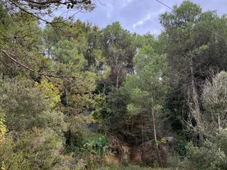 Residential Plot in Carrer bosc 25. Terreno rural urbanizable de 600m2 con encanto natural
