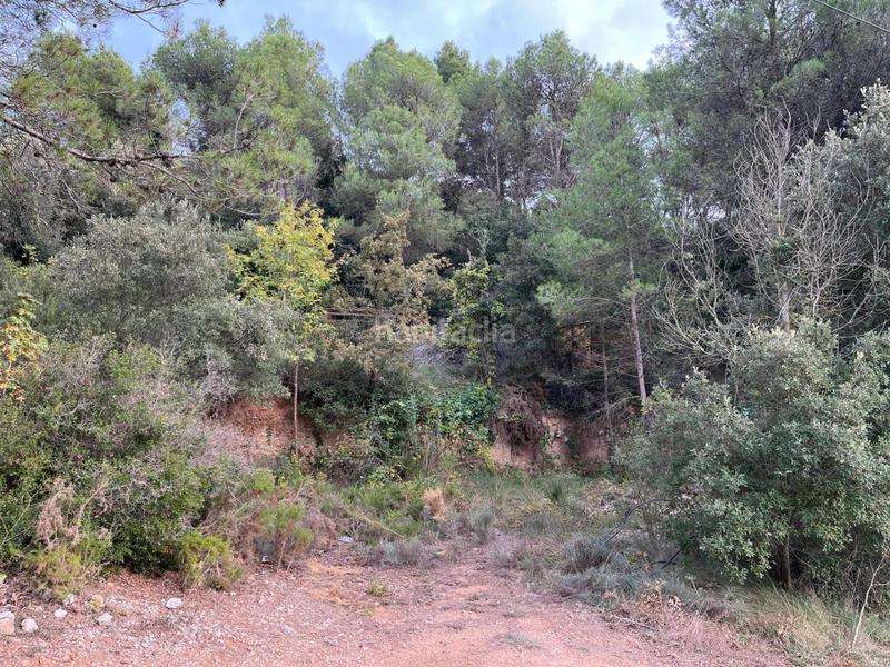 Foto 447d14c1-4d93-4ab7-ba63-df0fe3993914. Terreny residencial a carrer bosc 25 a Pontils