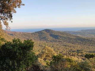 Wohngrundstück in Carrer del puig brull  164. Solar edificable de 800 m2 con preciosas vistas al mar y vegetac