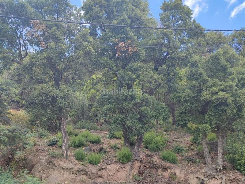 Foto 8c1d6dcc-6d3d-403b-8d80-a7f45ae6886d. Wohngrundstück in carrer del puig brull 164 in Urbanitzacions del Nord Santa Cristina d´Aro