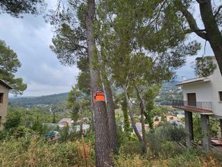 Terreny residencial a Carrer santa elena 3