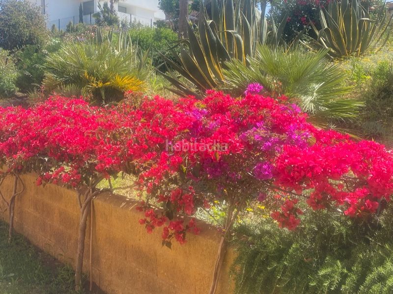 Foto eb280694-6d29-4a53-9979-e41634e28ad5. Rent apartment in calle Casares del sol 4 in Casares golf - Casares del sol Casares