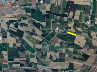 Finca rústica a Domenec cardenal 48. Dos terrenos en bellvís a 2.30 €/m2