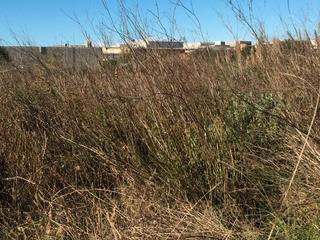 Finca rústica a Carrer de l'energia 70. Terreno rústico