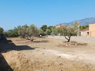 Terreny residencial a Carrer boix 96. Terreno en venta en la urbanización els pilans – roquetes (baix