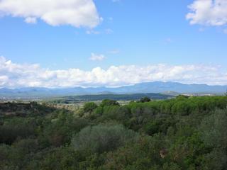 Finca rústica a Avinguda constitucio 1. Finca rustica privada con olivar