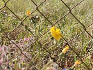 Residential Plot in Avinguda del garraf 131. Parcela única vilafranca del penedès