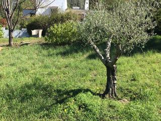 Chalet à Calle de la palmera 6. Precioso cortijo renovado a 5 km del centro de estepona