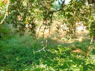 Maison à Calle el barrio 12. Casa típica leonesa entre montañas y cerezos – soto y amío (león