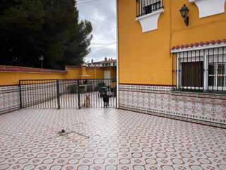 Dúplex a Urb ciudad jardin 51. Vivienda de 180 metros, en parcela de 220 metros y patio de 130