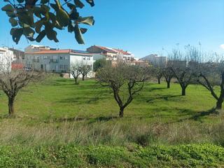 Fondo rustico in Calle dondenace 40. Solar de futura edificación en la alberca (yátova, valencia)