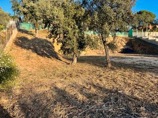 Terreny residencial a Calle arbucias 11. Terreno urbanizable en los pinares