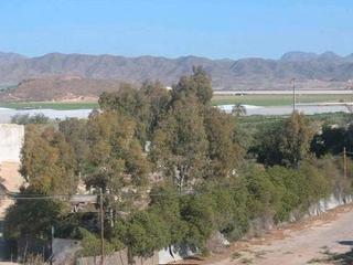 Residential Plot in Urb. calarreona 1. Vendo terreno zona calarreona ( matalentisco )