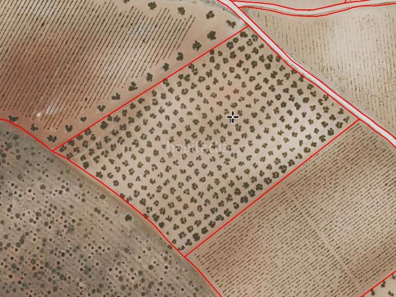 Foto 831d0183-4e66-459d-b7f0-ab4cc0f18b42. Finca rústica a seis de junio 50 a Valdepeñas