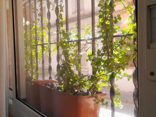 Piso en Josep fiter  000. Piso en venta en el pedró con aire acondicionado