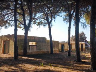 Finca rústica a Camino colada de fuente amarga s/n. Finca de 1000m ² dividida en dos escrituras de 500m²