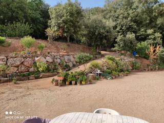 Casa en Carrer nou de dalt 3. Casa aïllada en un entorn immillorarble