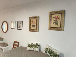 Miete Studiowohnung in Dr. guirao gea 1. Todo en uno muy coqueto y luminosos.