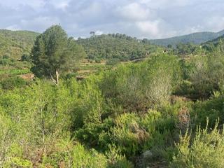 Rural plot in Avinguda de vilafranca del penedès 3