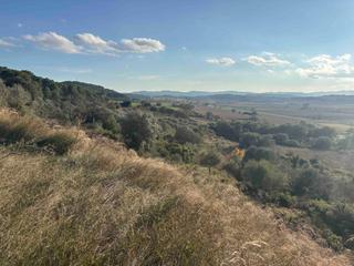 Finca rústica en Camino de llabia a palau s-numero. Finca rustica de inigualable belleza