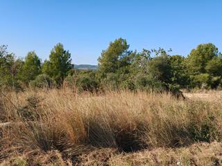 Terreny residencial a Carrer antoni nicolau 7. Terreno parcela plana