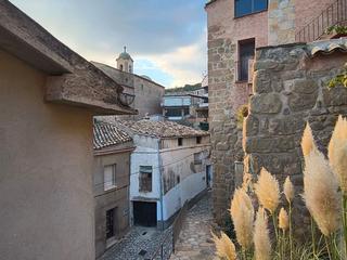 Masía en Pavia 14. Casa de pueblo a reformar en blosca