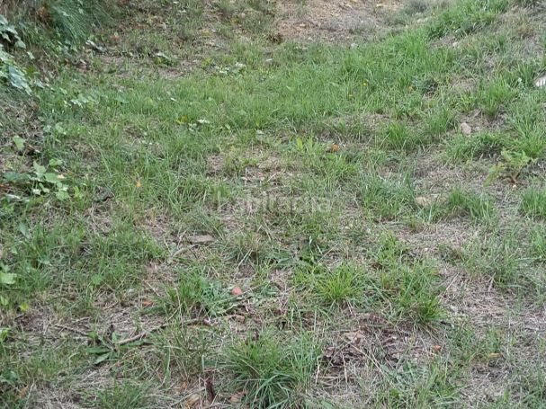 Foto fb9fe811-7fe3-4c65-ab54-f6959738034f. Terreno residencial en narcís oller 16 terreno con todos los servicios en Castellgalí